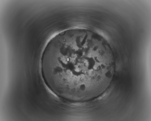 X0000088141471200705211126