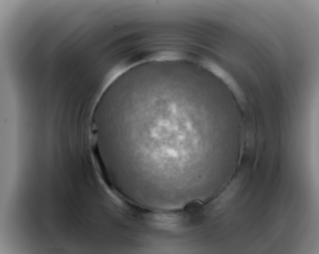 X0000088141473200705211126