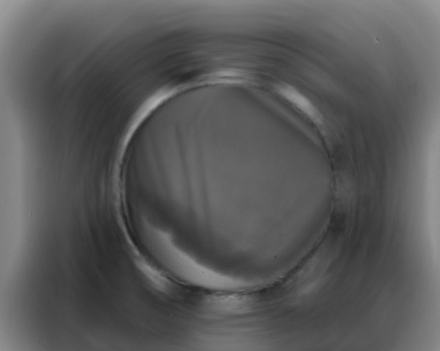 X0000088141474200705211126