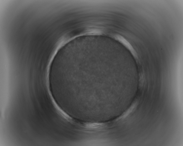 X0000088141475200705211126