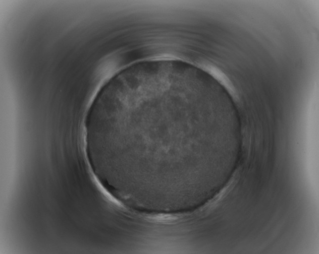 X0000088141476200705211126
