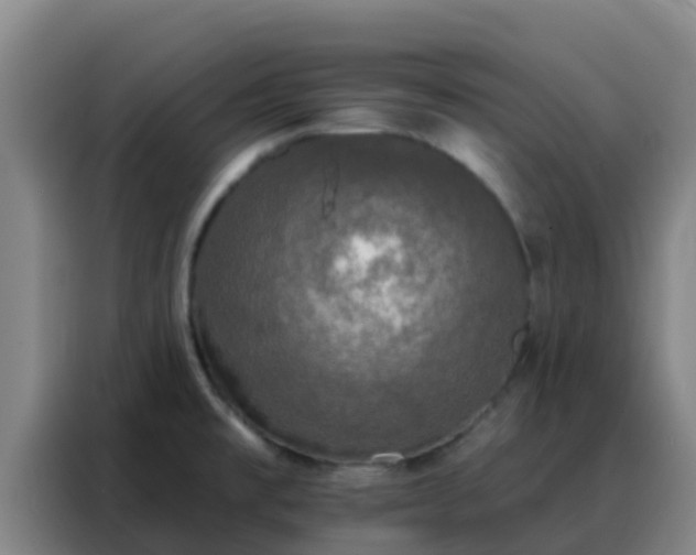 X0000088141477200705211126