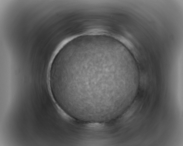X0000088141478200705211126