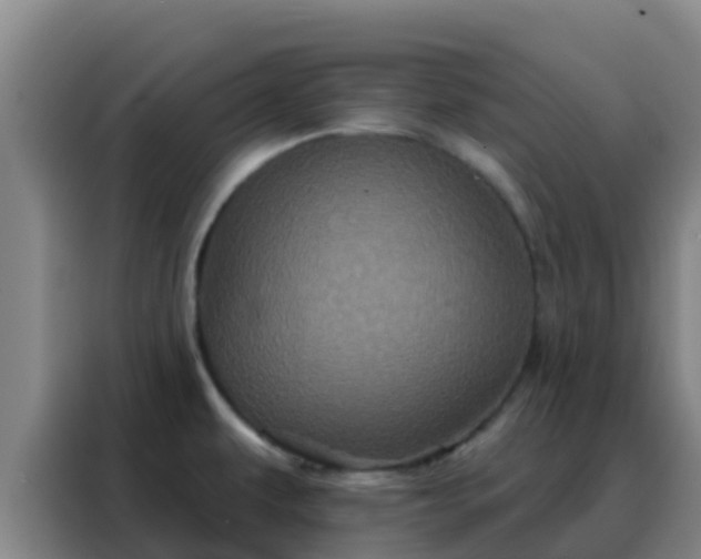 X0000088141479200705211126