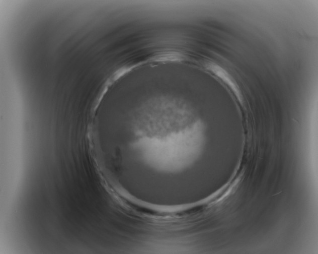 X0000088141481200705211126