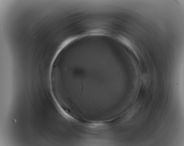 X0000088141482200705211126