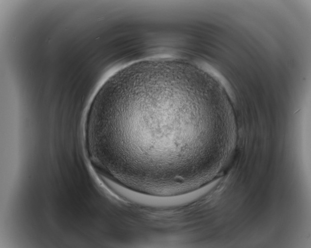 X0000088141483200705211126