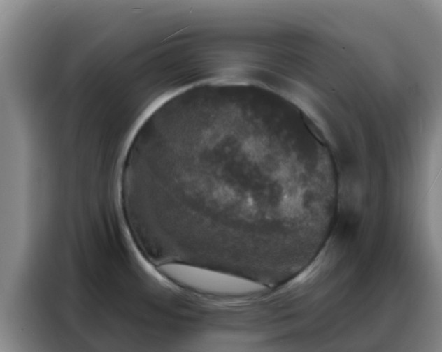 X0000088141484200705211126