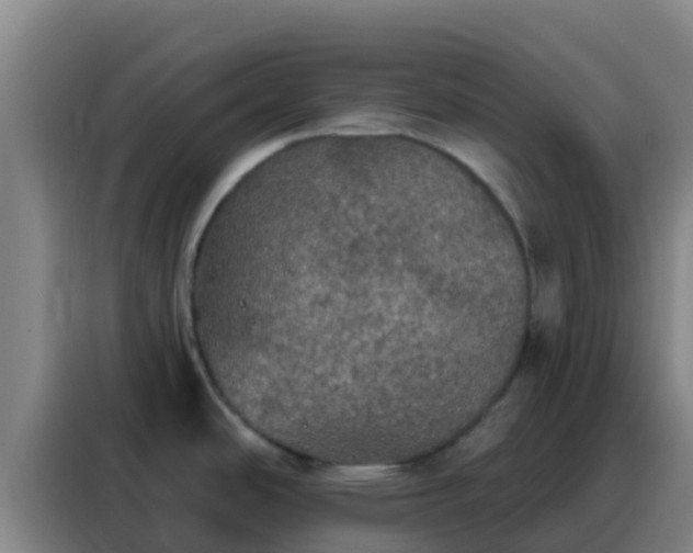 X0000088141486200705211126