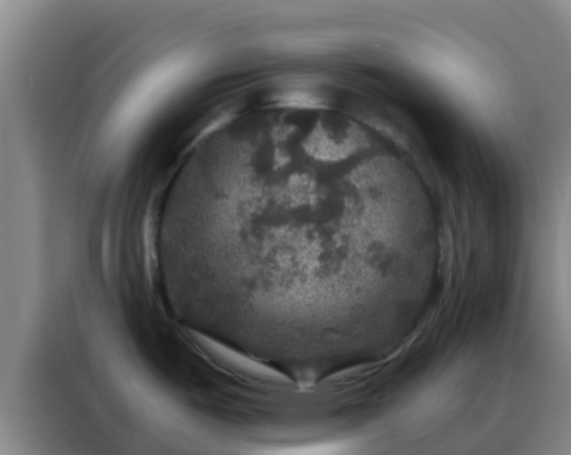X0000088141487200705211126