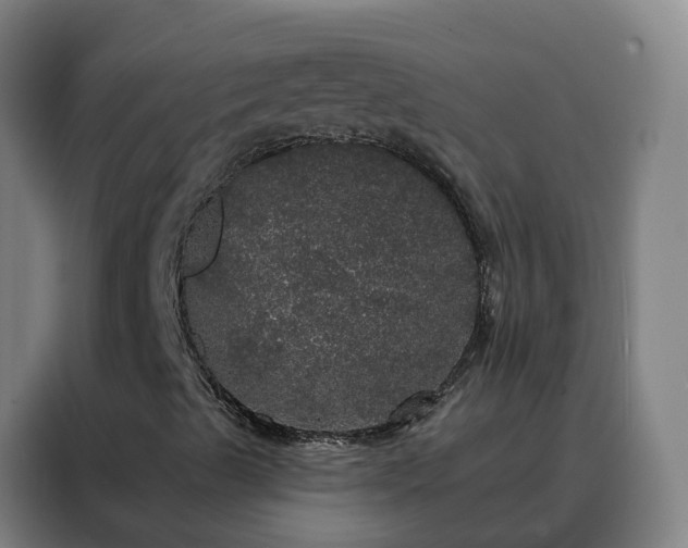X0000088141489200705211125