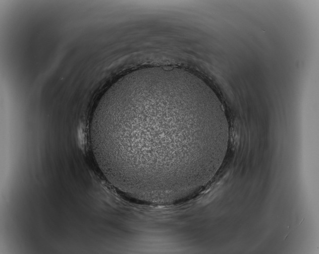 X0000088141490200705211125