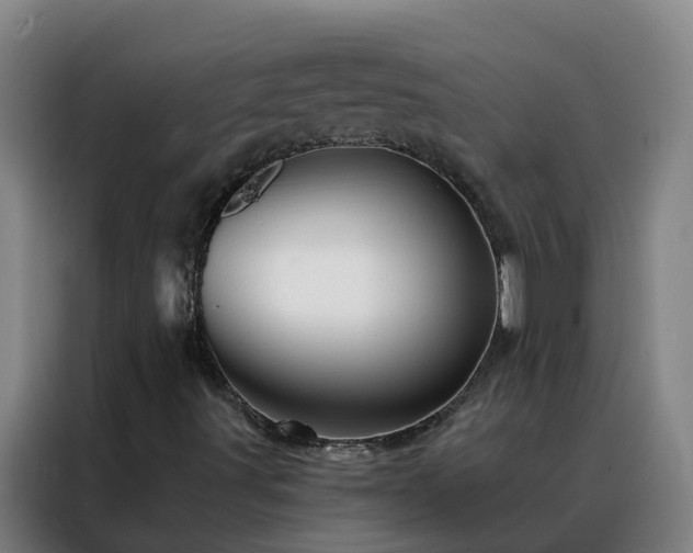 X0000088141491200705211125