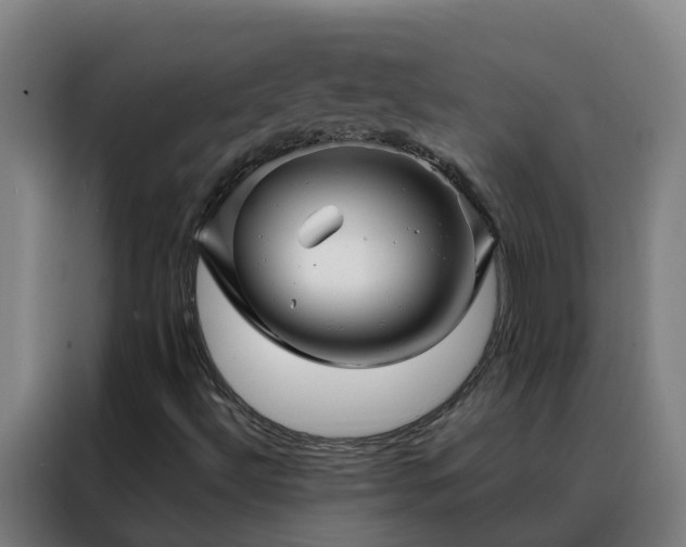 X0000088141492200705211125