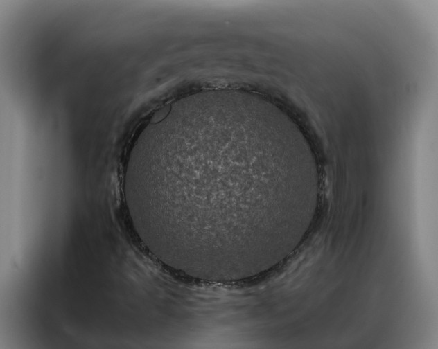 X0000088141493200705211125