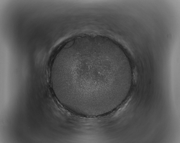 X0000088141494200705211125