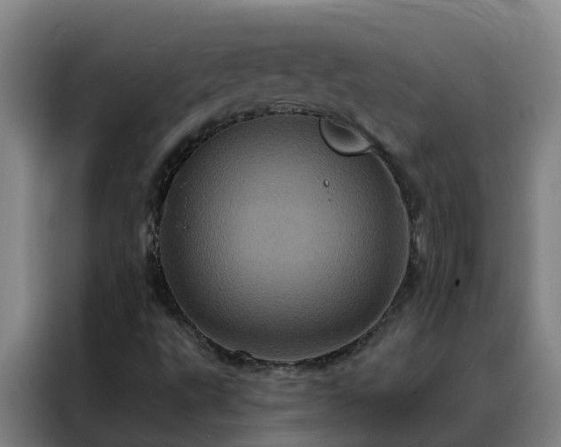 X0000088141495200705211125