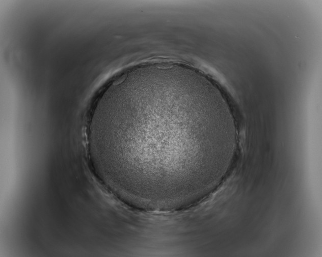 X0000088141496200705211125