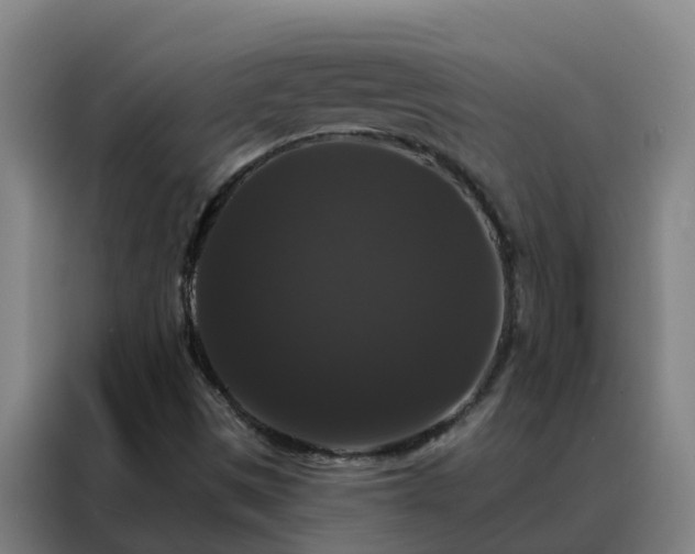 X0000088141497200705211125