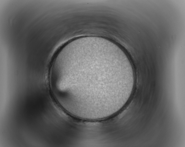 X0000088141498200705211125