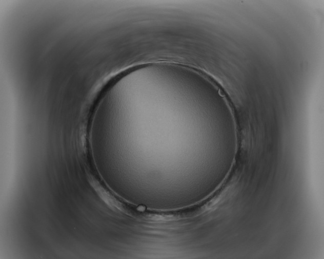 X0000088141499200705211125