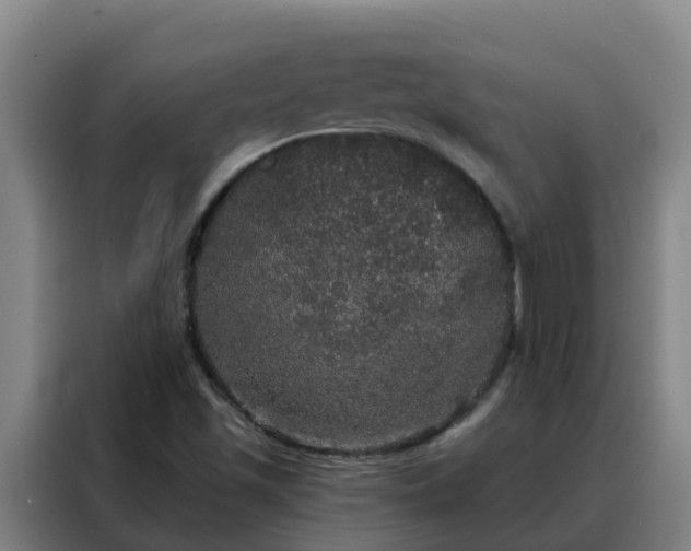 X0000088141501200705211125