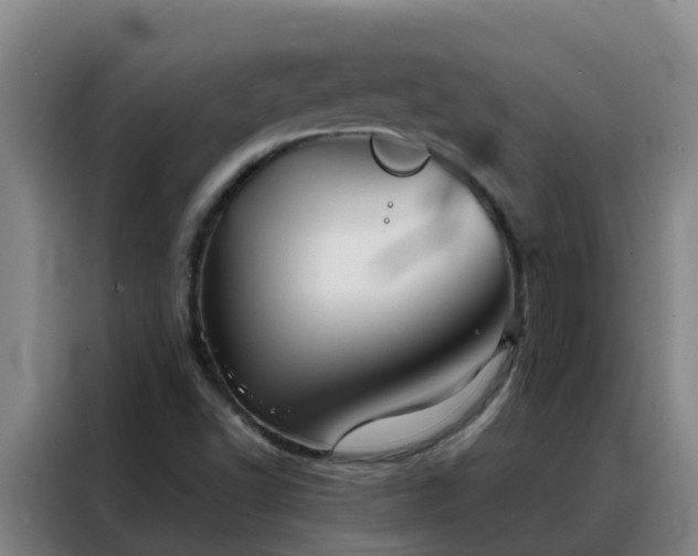 X0000088141502200705211125