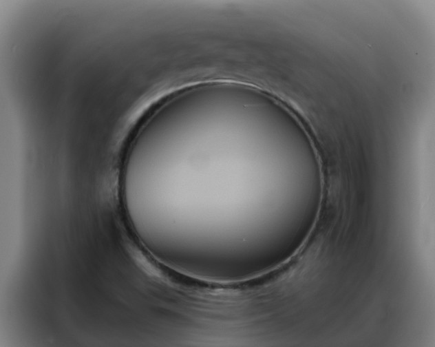 X0000088141503200705211125