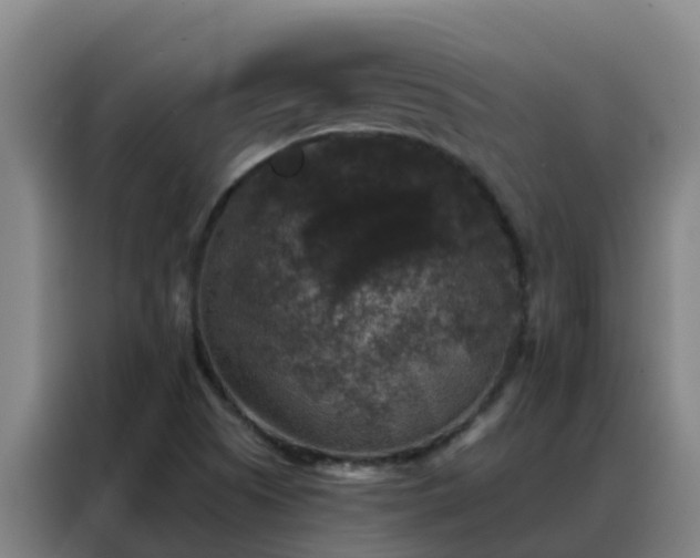 X0000088141505200705211125