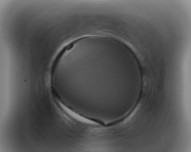 X0000088141506200705211125