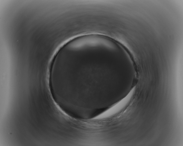 X0000088141508200705211125