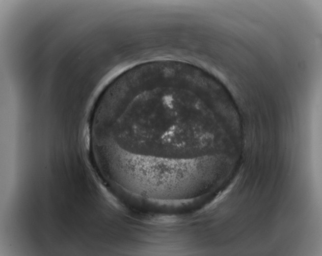 X0000088141509200705211125