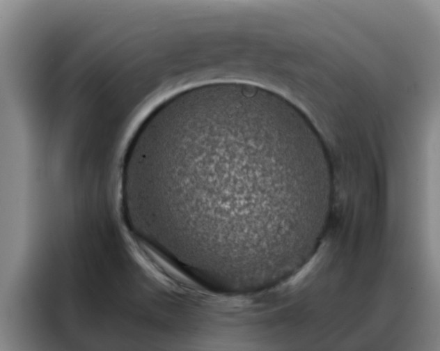 X0000088141511200705211125