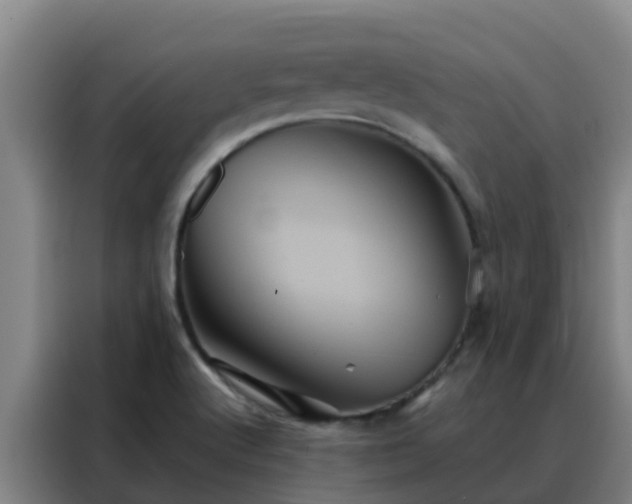 X0000088141512200705211125
