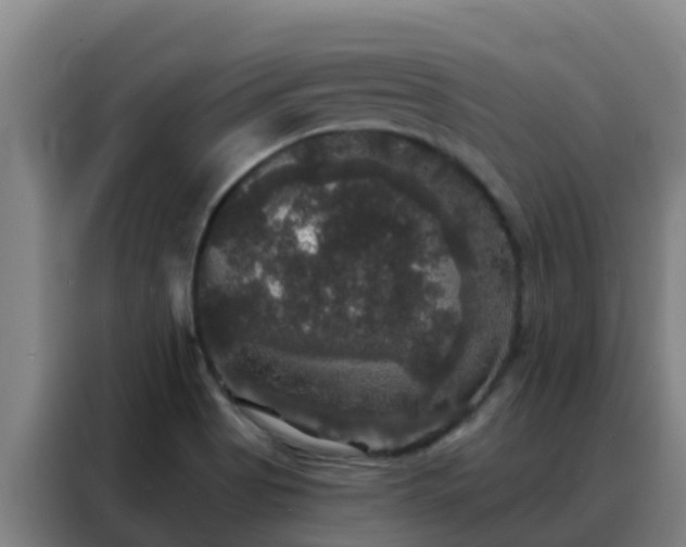 X0000088141513200705211125