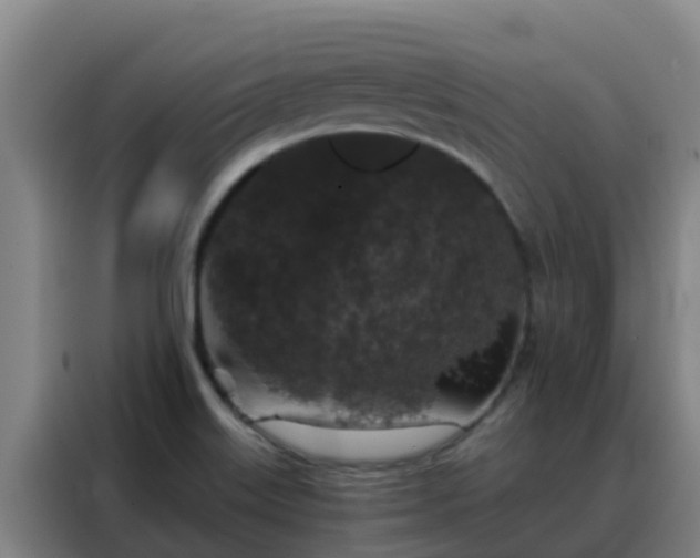X0000088141515200705211125