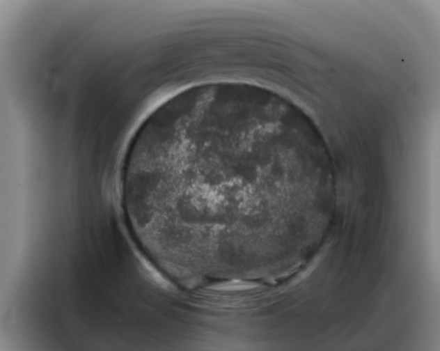 X0000088141517200705211125