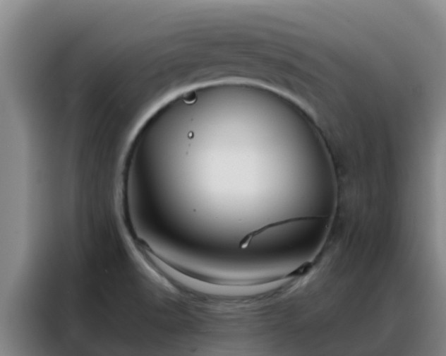 X0000088141518200705211125