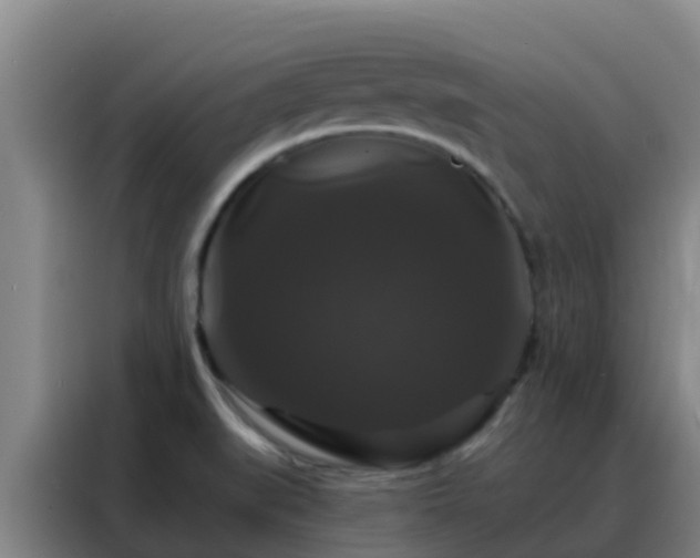 X0000088141519200705211125