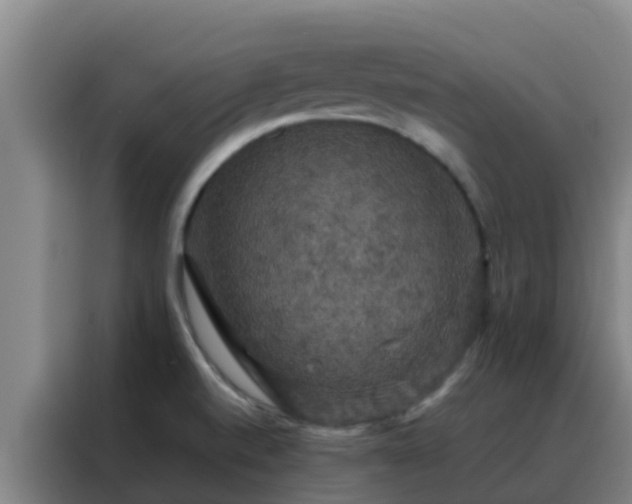 X0000088141520200705211125