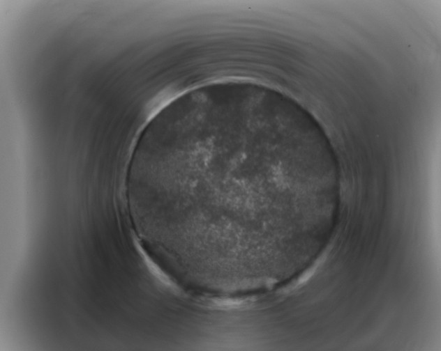 X0000088141521200705211125