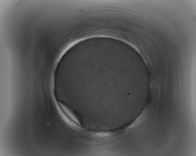 X0000088141523200705211125