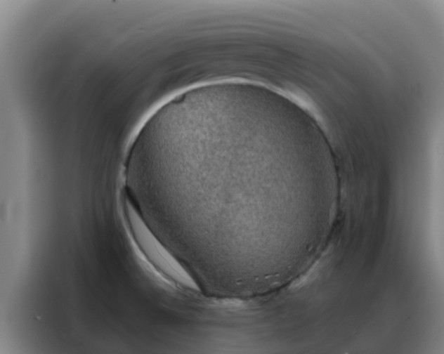 X0000088141524200705211125