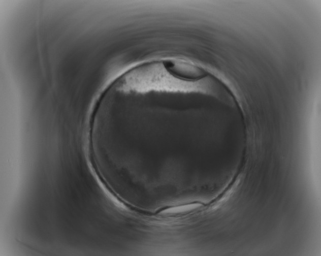 X0000088141525200705211125