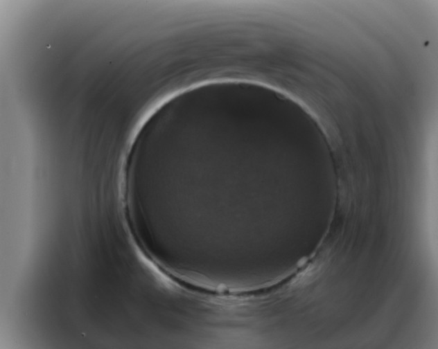 X0000088141527200705211125