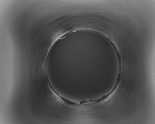 X0000088141529200705211125