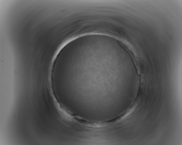 X0000088141530200705211125