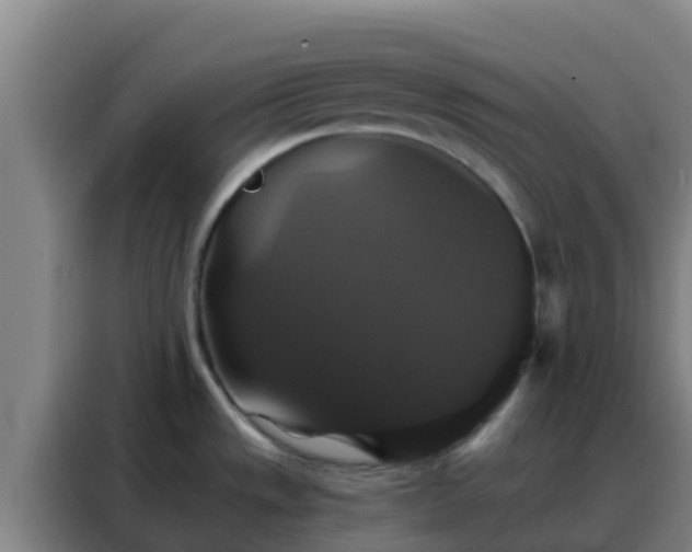 X0000088141533200705211126