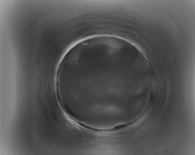 X0000088141535200705211126