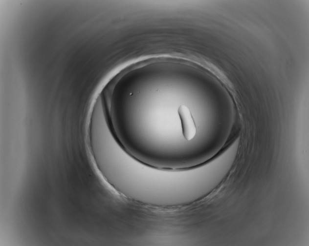 X0000088141536200705211126